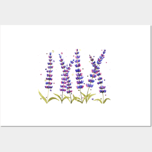 Lavender flowers Posters and Art